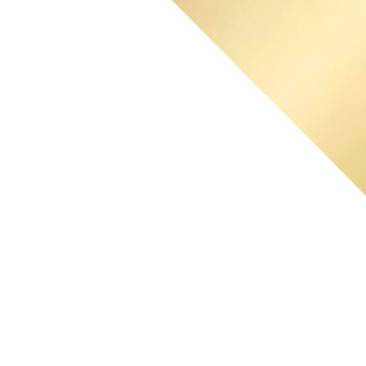 Armadio 100x215h cm 2 ante bianco lucido oro Glammy 2