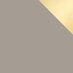 Armadio 100x215h cm 2 ante 2 specchi moderno beige oro Glammy 2