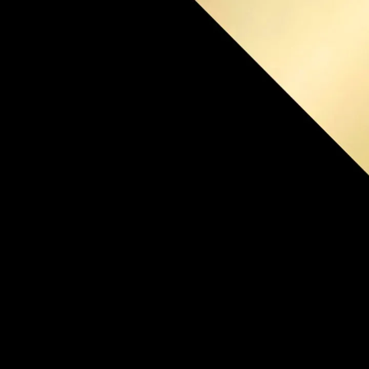 Armadio 100x215h cm 2 ante 1 specchio moderno nero oro Glammy 2